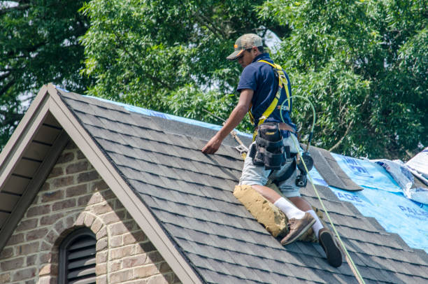 Best Roof Repair Services  in Eerlin, ND